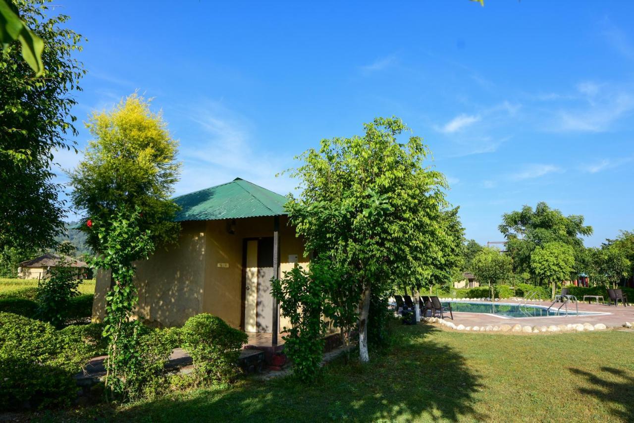 Tusk And Roar Corbett Resort Dhela Экстерьер фото