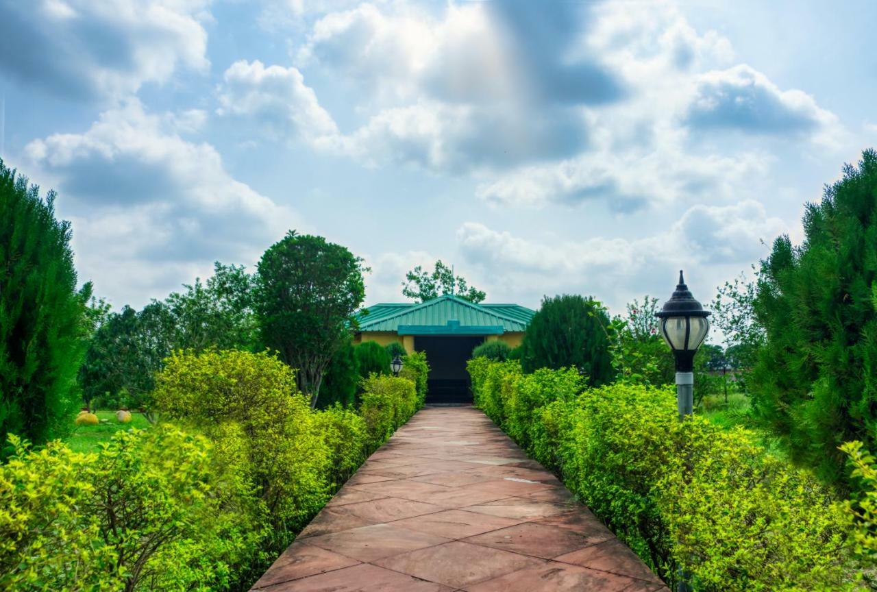 Tusk And Roar Corbett Resort Dhela Экстерьер фото
